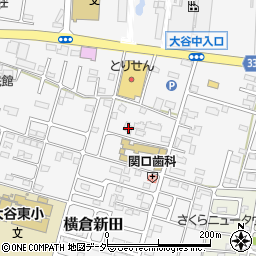 栃木県小山市横倉新田287-27周辺の地図
