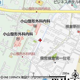 栃木県小山市横倉新田155-6周辺の地図