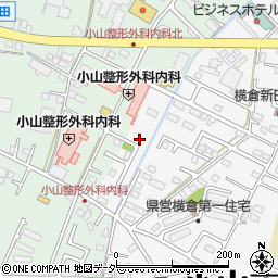 栃木県小山市横倉新田155-5周辺の地図