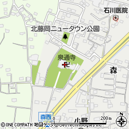 群馬県藤岡市森594周辺の地図