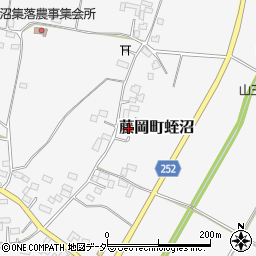 栃木県栃木市藤岡町蛭沼1608周辺の地図