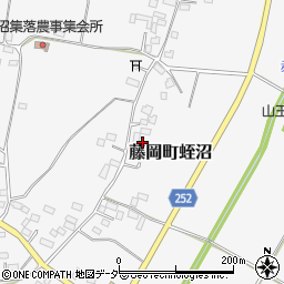 栃木県栃木市藤岡町蛭沼1602周辺の地図