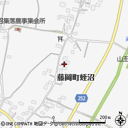 栃木県栃木市藤岡町蛭沼1599周辺の地図