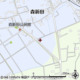 群馬県藤岡市森新田313-25周辺の地図