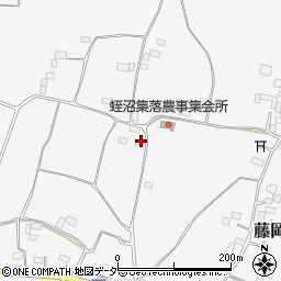 栃木県栃木市藤岡町蛭沼1428周辺の地図