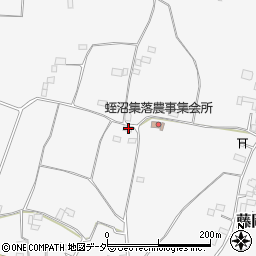 栃木県栃木市藤岡町蛭沼1424周辺の地図