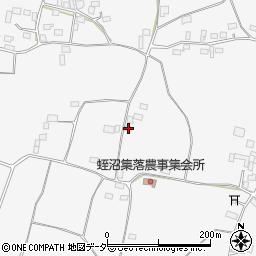 栃木県栃木市藤岡町蛭沼1784周辺の地図