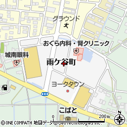 栃木県小山市雨ケ谷町周辺の地図