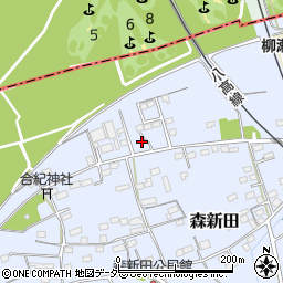 群馬県藤岡市森新田171-21周辺の地図