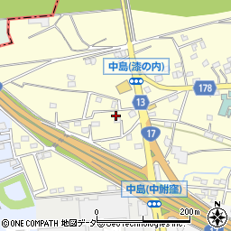 群馬県藤岡市中島497周辺の地図