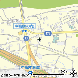 群馬県藤岡市中島493周辺の地図