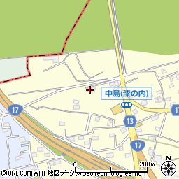 群馬県藤岡市中島539-1周辺の地図