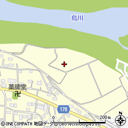 群馬県藤岡市中島209周辺の地図