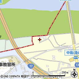 群馬県藤岡市中島613周辺の地図