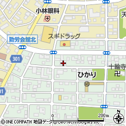 星野進学ゼミ太田校周辺の地図