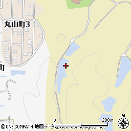 石川県加賀市上野町（ロ）周辺の地図