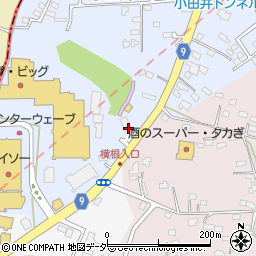 長野県佐久市小田井642-1周辺の地図