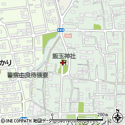 飯玉神社周辺の地図