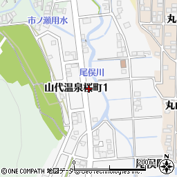 石川県加賀市山代温泉桜町1丁目77周辺の地図