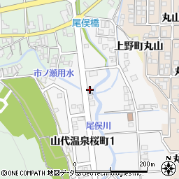 石川県加賀市山代温泉桜町1丁目10周辺の地図