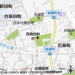 群馬県高崎市岩鼻町周辺の地図