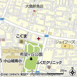 栃木県小山市西城南5丁目4周辺の地図