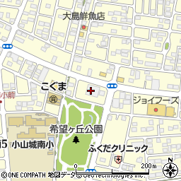 キングファミリー　小山城南店周辺の地図