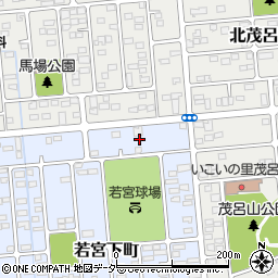 栃木県佐野市若宮下町2周辺の地図