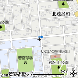 栃木県佐野市若宮下町2-13周辺の地図
