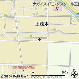 群馬県佐波郡玉村町上茂木658-20周辺の地図