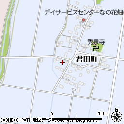 栃木県佐野市君田町203周辺の地図