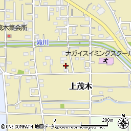 群馬県佐波郡玉村町上茂木213周辺の地図