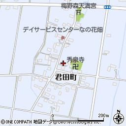 栃木県佐野市君田町296周辺の地図