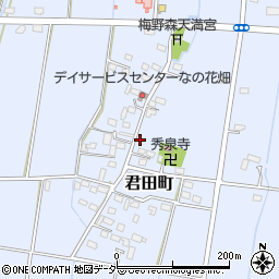 栃木県佐野市君田町293周辺の地図