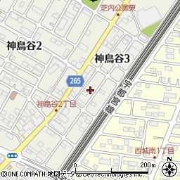 栃木県小山市神鳥谷3丁目7周辺の地図