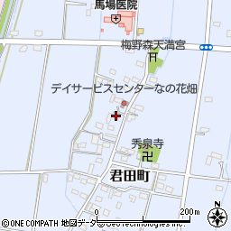 栃木県佐野市君田町271周辺の地図