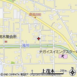 群馬県佐波郡玉村町上茂木160周辺の地図