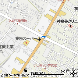 栃木県小山市神鳥谷308周辺の地図