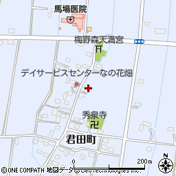 栃木県佐野市君田町289周辺の地図