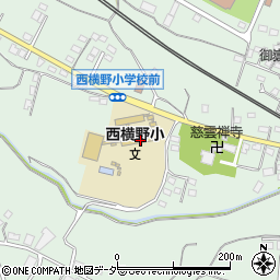 安中市立西横野小学校周辺の地図