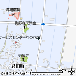 栃木県佐野市君田町215周辺の地図