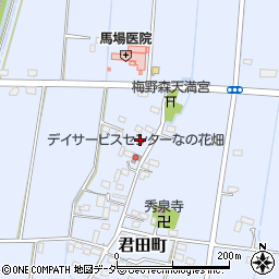 栃木県佐野市君田町273周辺の地図