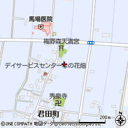 栃木県佐野市君田町284周辺の地図