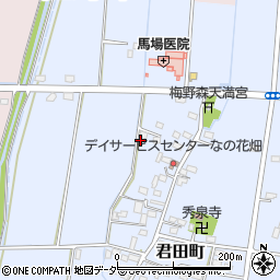 栃木県佐野市君田町166周辺の地図