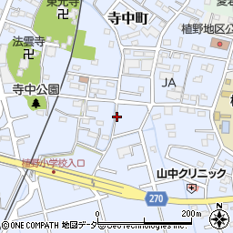 栃木県佐野市寺中町周辺の地図