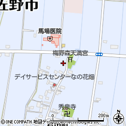 栃木県佐野市君田町275周辺の地図