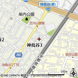 栃木県小山市神鳥谷3丁目周辺の地図