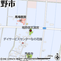 栃木県佐野市君田町217周辺の地図