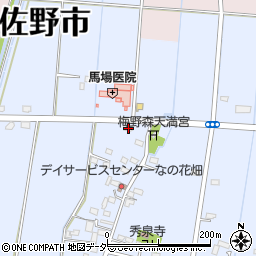 栃木県佐野市君田町163周辺の地図