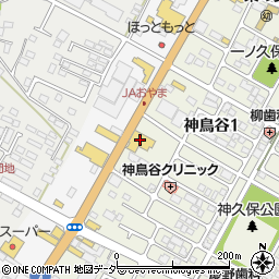 日産プリンス栃木小山店周辺の地図
